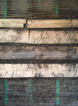 Anne         Kiefer