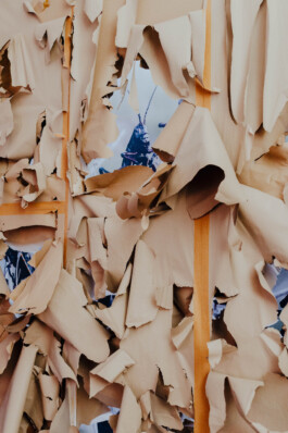 Anne         Kiefer